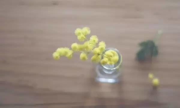 如果生命只剩下一天 如果生命只剩下一天