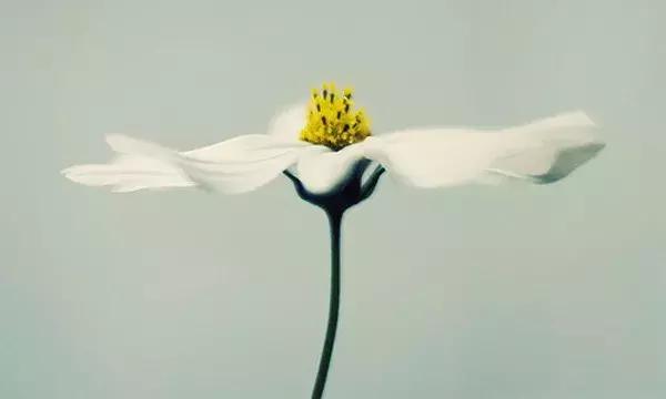 尊重别人，就是尊重自己