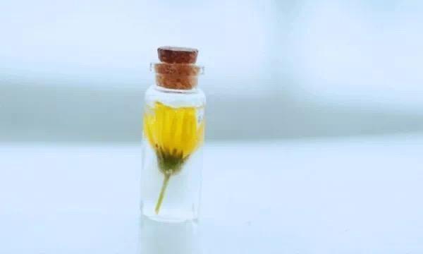 一份好的感情，是随缘