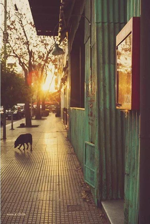 我们站着不说话，就十分美好