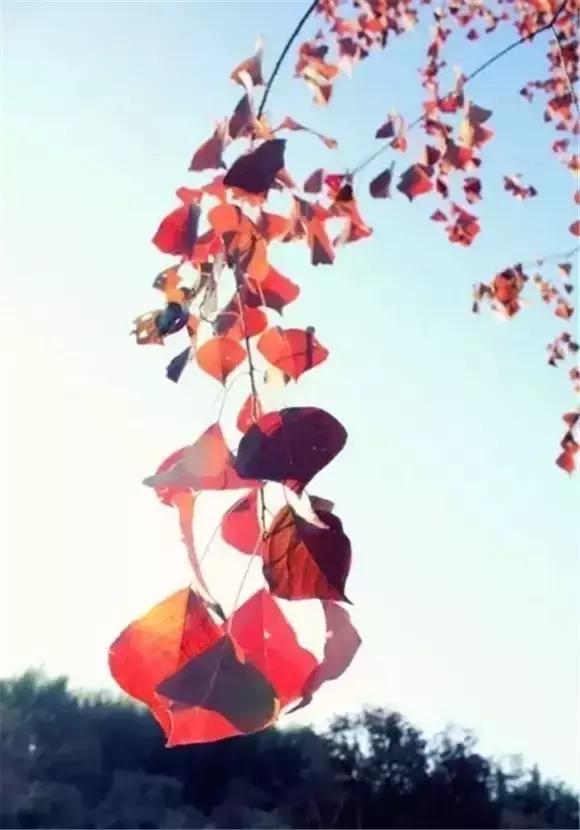 一生当中应该坚持的四件事 一生当中应该坚持的四件事