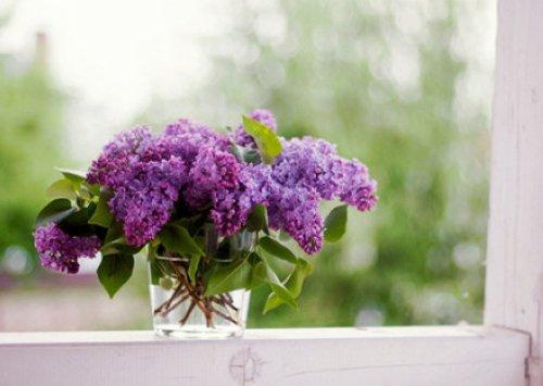 活在当下，且行且珍惜，美好的，留在心底；遗憾的，随风散去