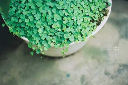 适合发朋友圈的经典语录，句句深刻