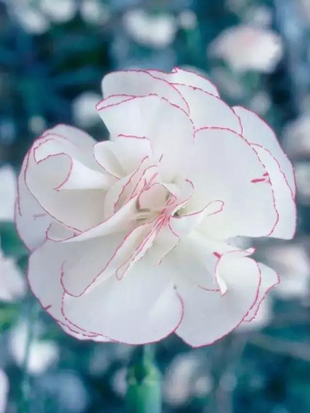 你知道别人为什么喜欢你吗？