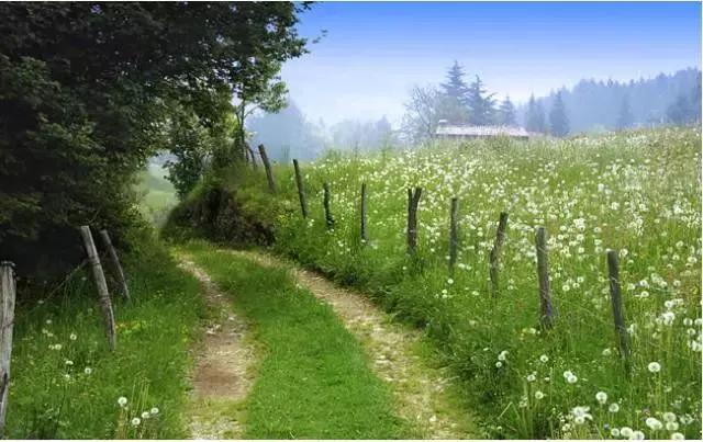 你何尝不是别人眼里的风景