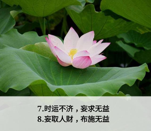 放下面子做人，但不可弯腰