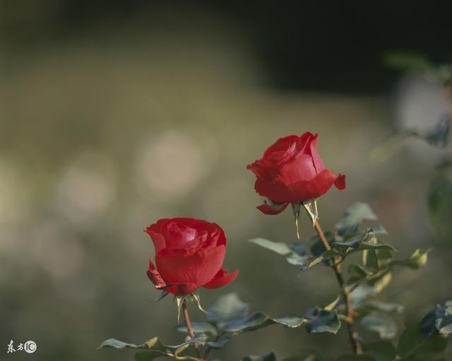 坎坎坷坷谁陪谁，真真假假谁信谁，许下的诺言谁兑了谁