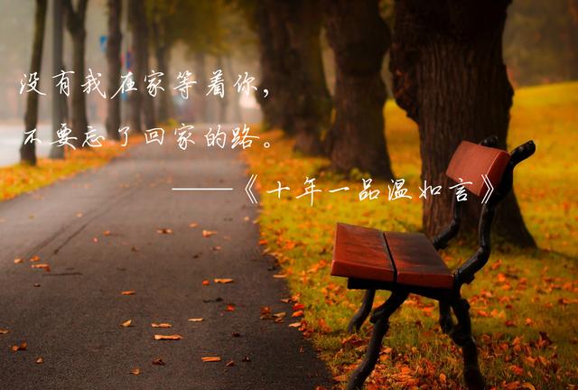 这城市总是风很大，孤独人总是晚回家