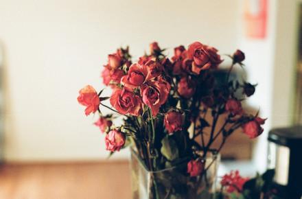 很现实的空间说说经典语录