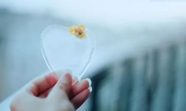 一份好的感情，是随缘