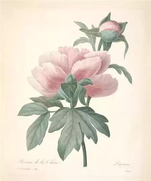 生命中所有的相逢,都是命中注定 生命中所有的相逢,都是命中注定