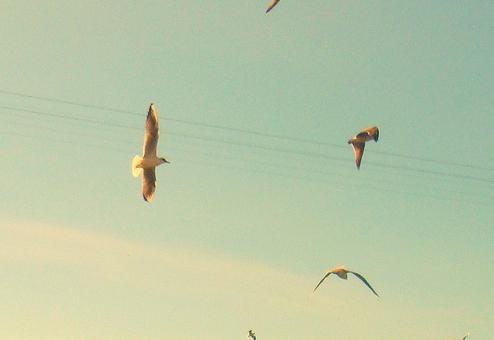 2017qq经典的一句话语录