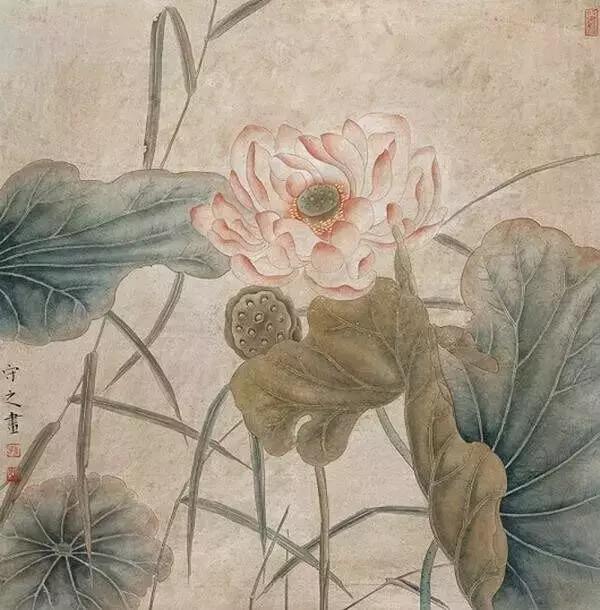 生命之冬里，温暖无处不在