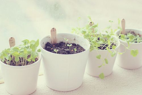 关于爱情的正能量图片说说语录 关于爱情的正能量图片说说语录