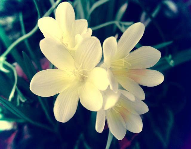 人生感悟：只要心不走在绝路上，生活也终不会给你绝路走