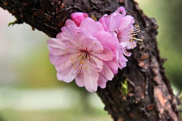 人生苦短，世事看淡，何苦计较