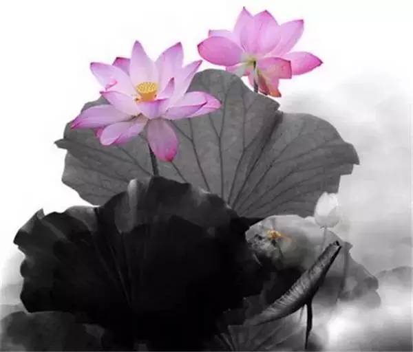 难死不要撒谎，穷死不要骗人