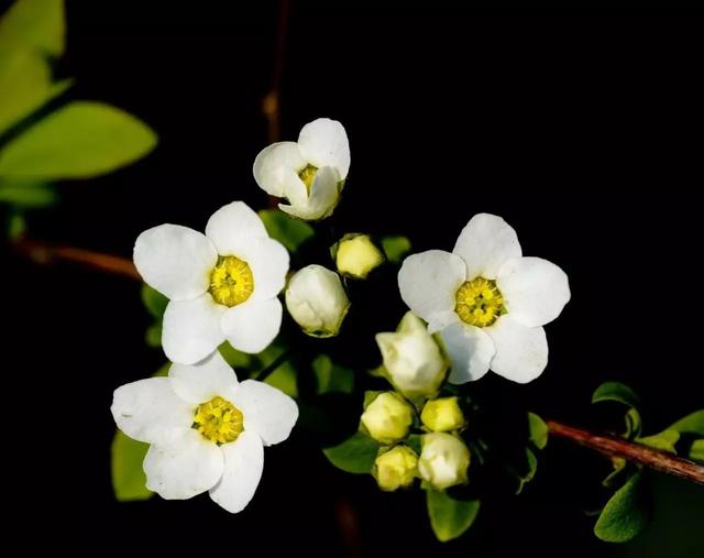 真正的放弃并不会张扬而是慢慢不联系 真正的放弃并不会张扬而是慢慢不联系