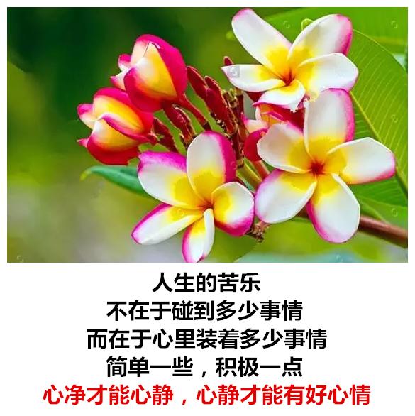生活有苦有甜，爱情有闹有和，心情有悲有喜，日子有阴有晴