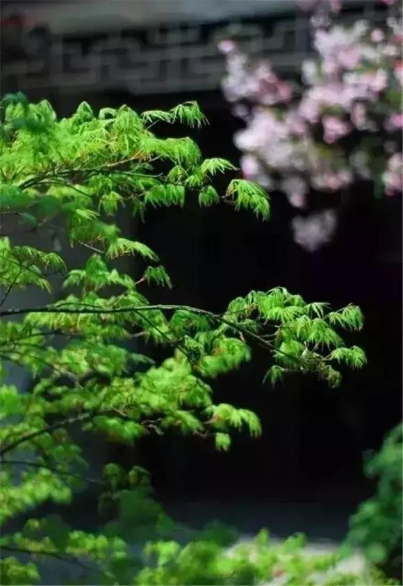 优等的心，自带光源更美丽