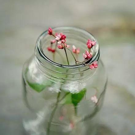 再回首,时光不老,我们不散 再回首,时光不老,我们不散