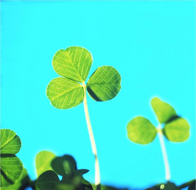 总要活出自己的样子 总要活出自己的样子