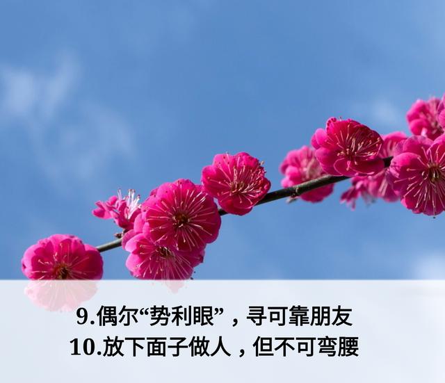 放下面子做人，但不可弯腰