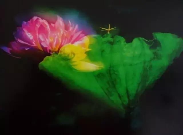 人生之大境界：心如莲花，念如菩提