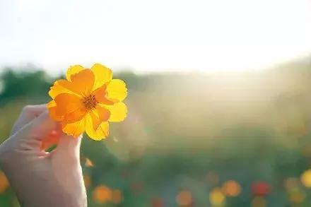 距离只是一个用来验证爱能走多远的测试