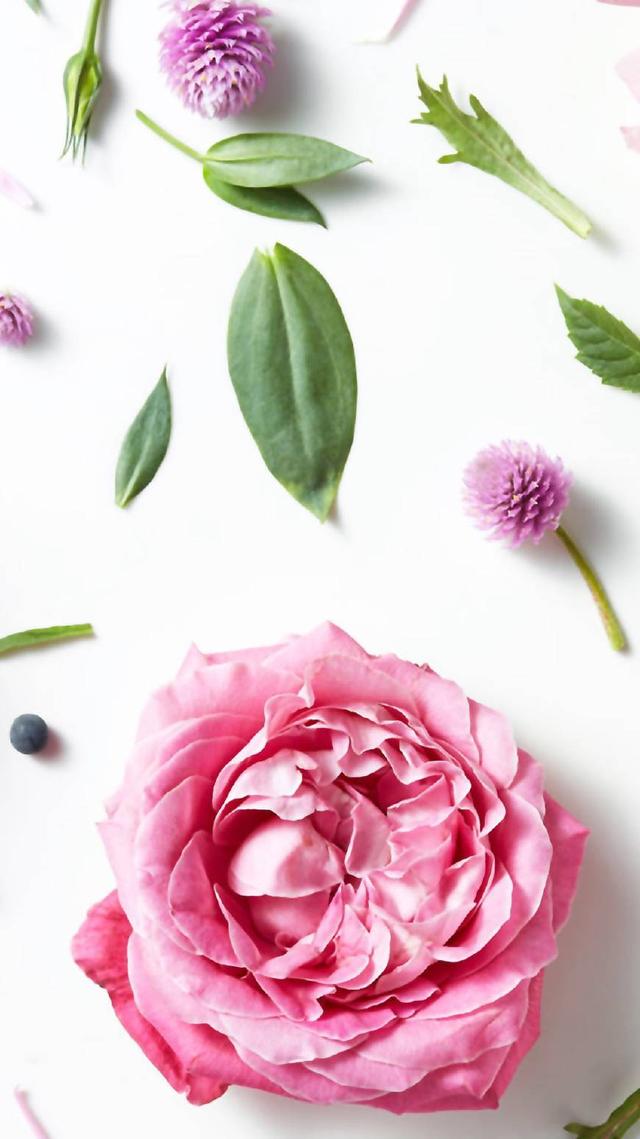 2018最经典的爱情语录，看完你就会明白什么才是真正的爱情