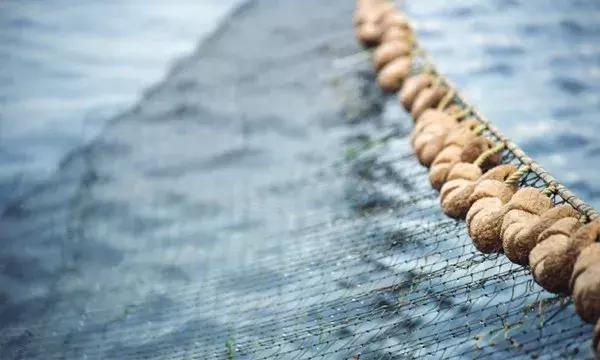 缺钱时,你就懂了 缺钱时,你就懂了