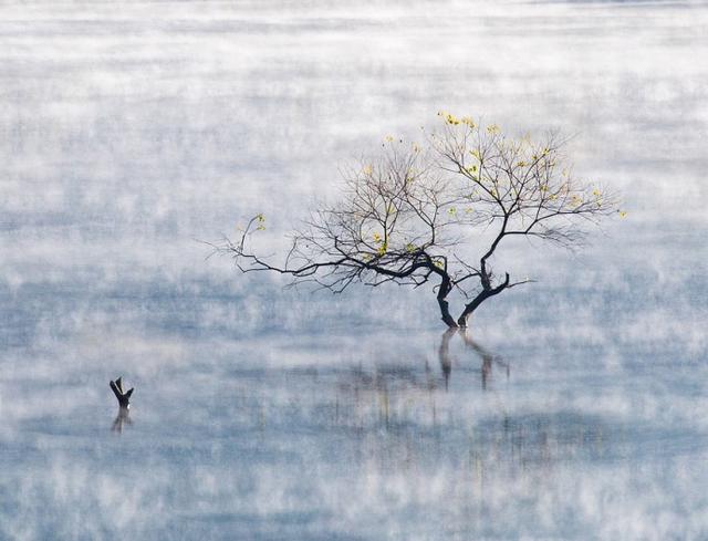 毛主席人间正道是沧桑