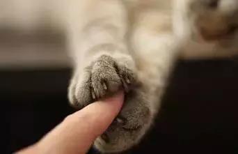 别担心，一切都会好的