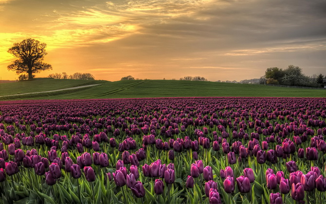 90后正能量语录