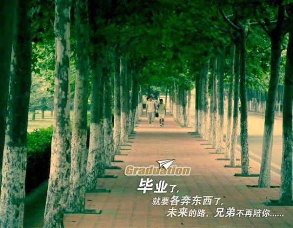 打动人心的网络经典语录 打动人心的网络经典语录
