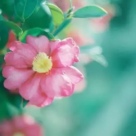 清 醒（写的真好）