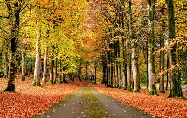 人生路上，不知道转弯的人永远走不远