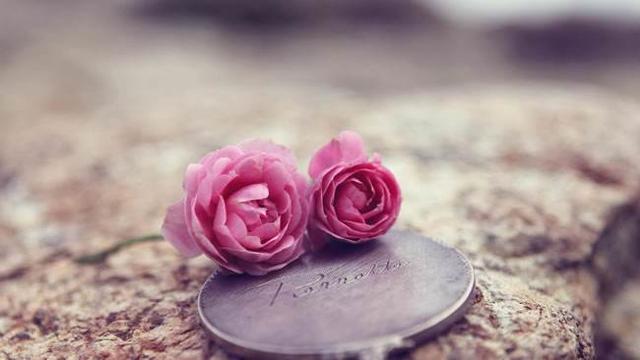 学会做自己的主人 学会做自己的主人