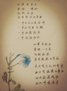 三毛岁月极美，在于它必然的流逝