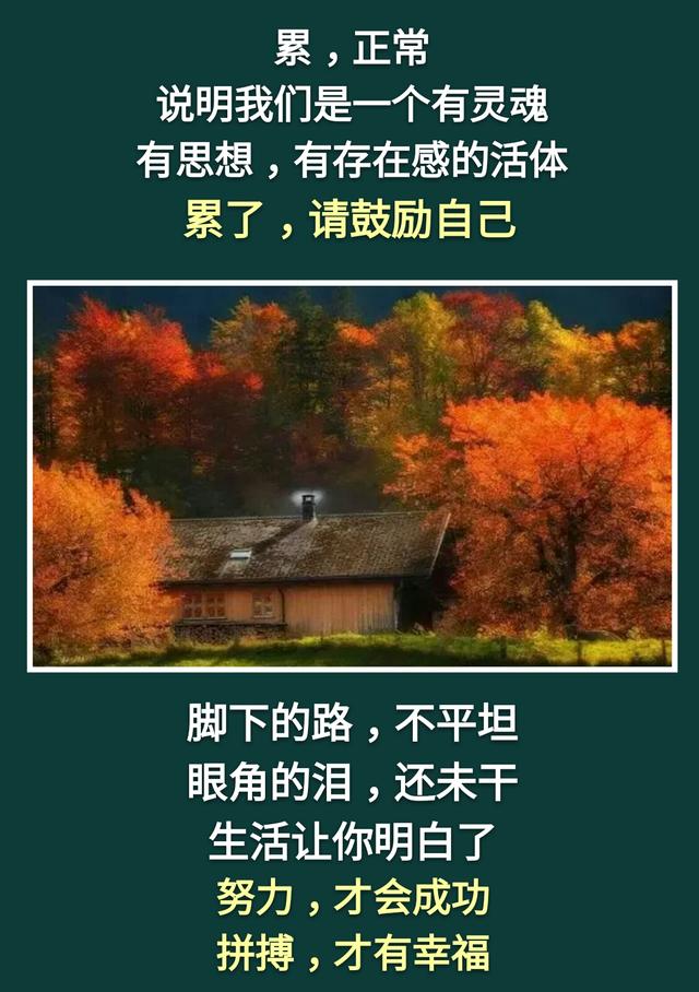 人活着：不累，是木头；不痛，是砖头；不苦，是石头