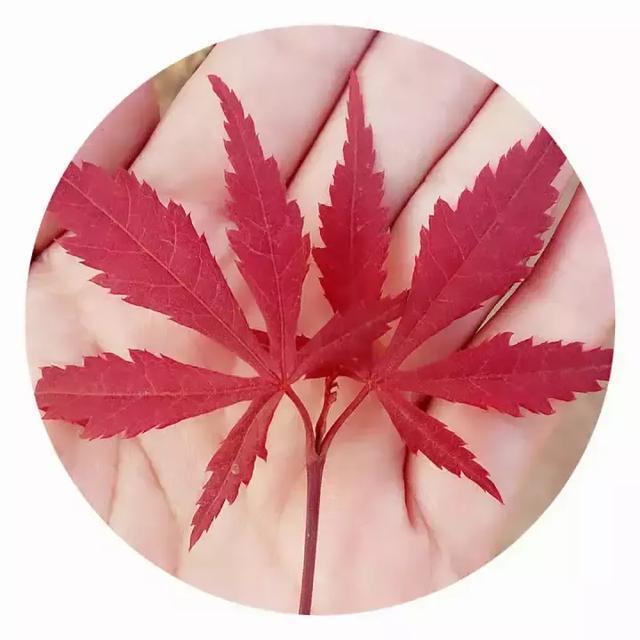 人字两笔：一撇一捺，道尽人生真谛