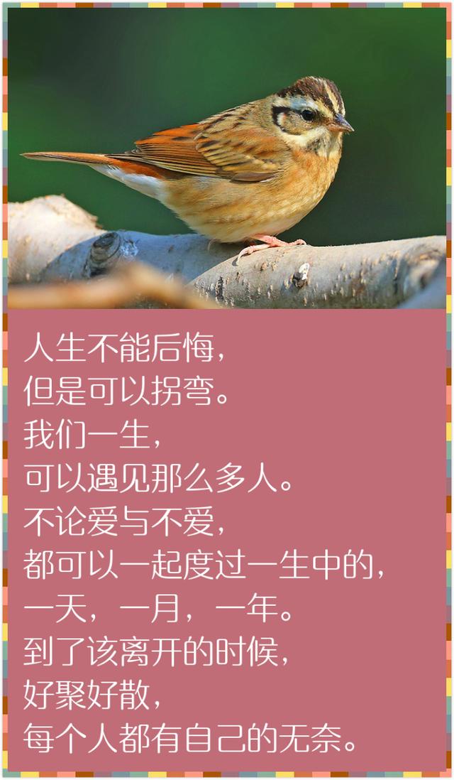 人生在世，除了生死，都是小事（精辟到骨子里）