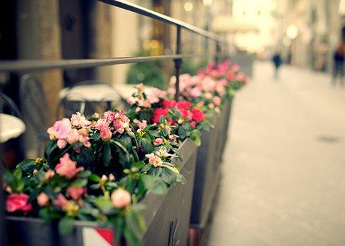 治愈人心的心灵鸡汤语录