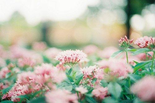 微信里最温馨唯美的爱情语录