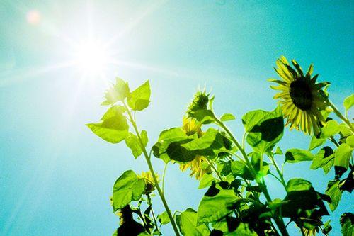 一些充满正能量的经典语录