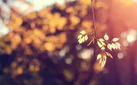 距离只是一个用来验证爱能走多远的测试