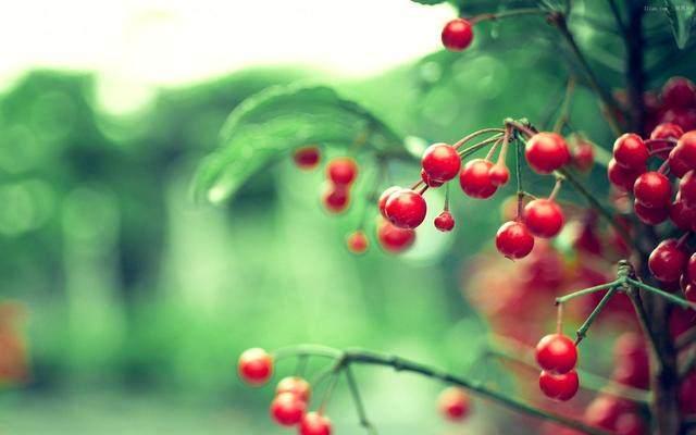 人生感悟：只要心不走在绝路上，生活也终不会给你绝路走