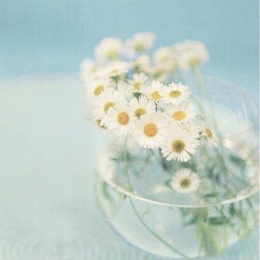 一句话最经典的人生哲理语录