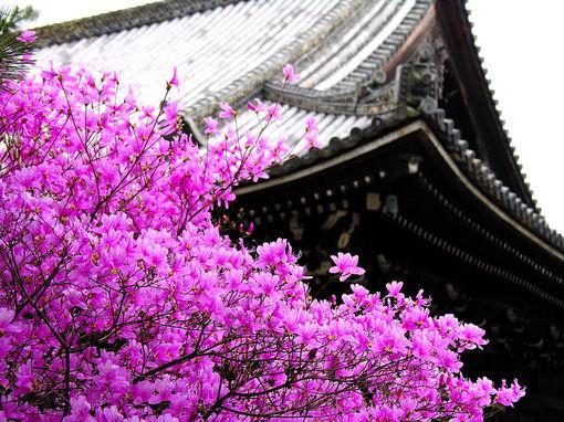 正能量激励人的句子 正能量激励人的句子