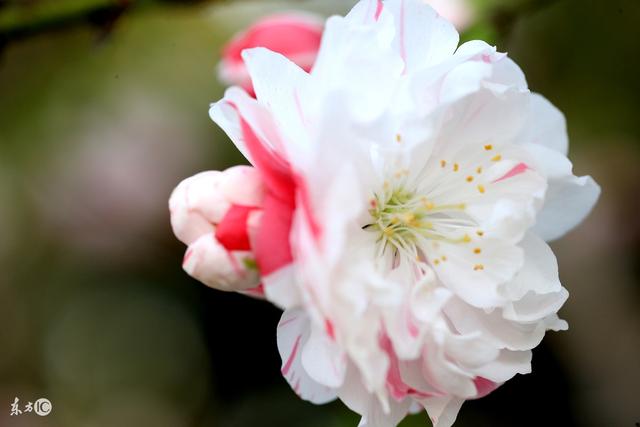 30条很走心的哲理语录，句句说到心坎里！总有适合你的